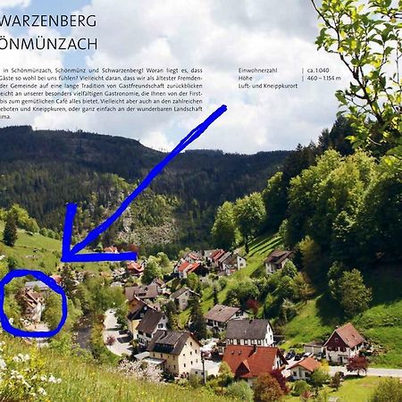 Adieu Alltag: Pension Oesterle Im Schwarzwald Schonmunzach Exterior foto