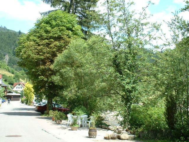 Adieu Alltag: Pension Oesterle Im Schwarzwald Schonmunzach Exterior foto