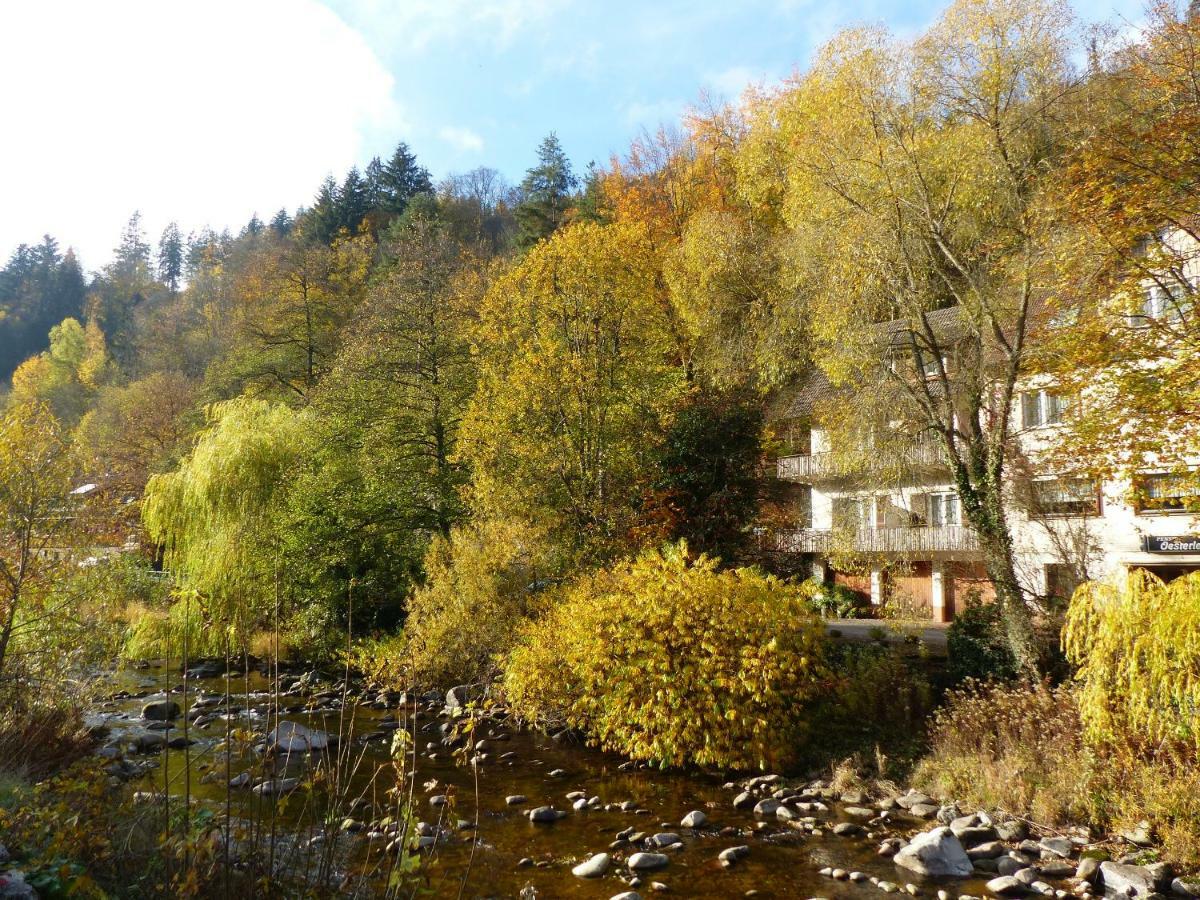 Adieu Alltag: Pension Oesterle Im Schwarzwald Schonmunzach Exterior foto